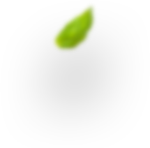 Shape Icon