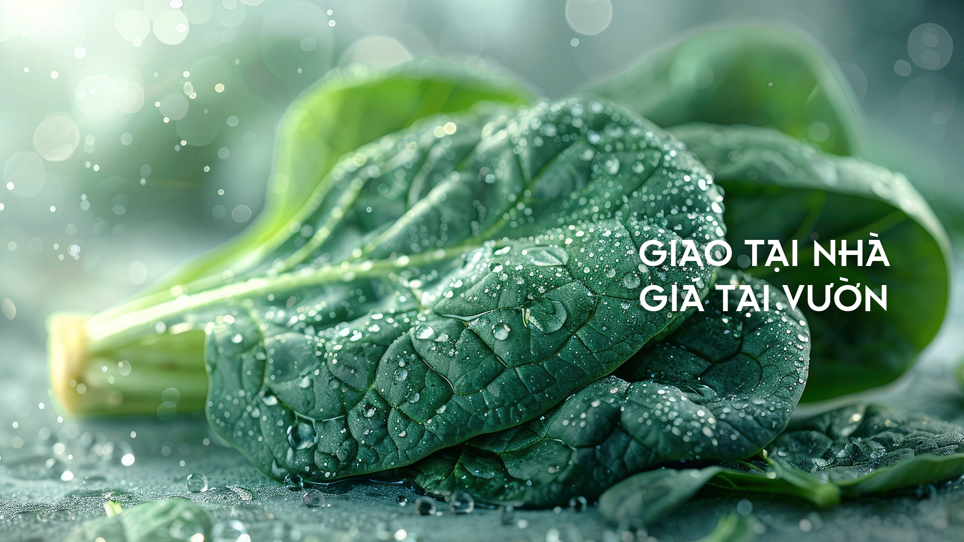 Trang chủ - slide 2 image