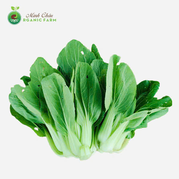 Rau cải thìa image