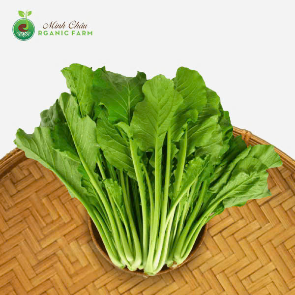 Rau cải ngọt image