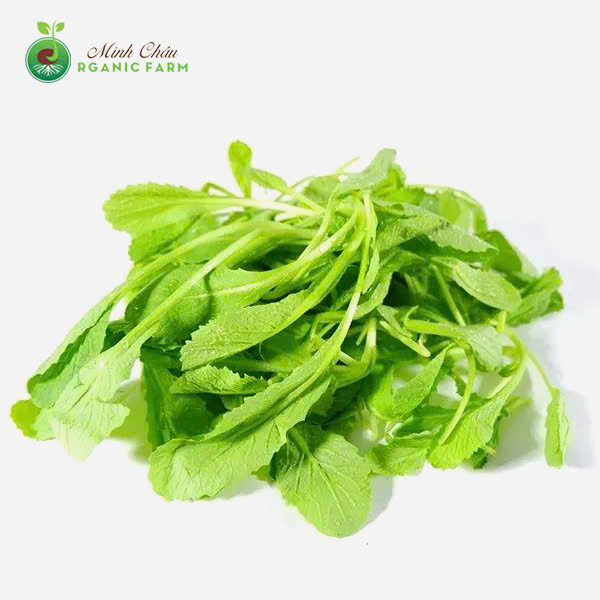 Rau cải xanh con image