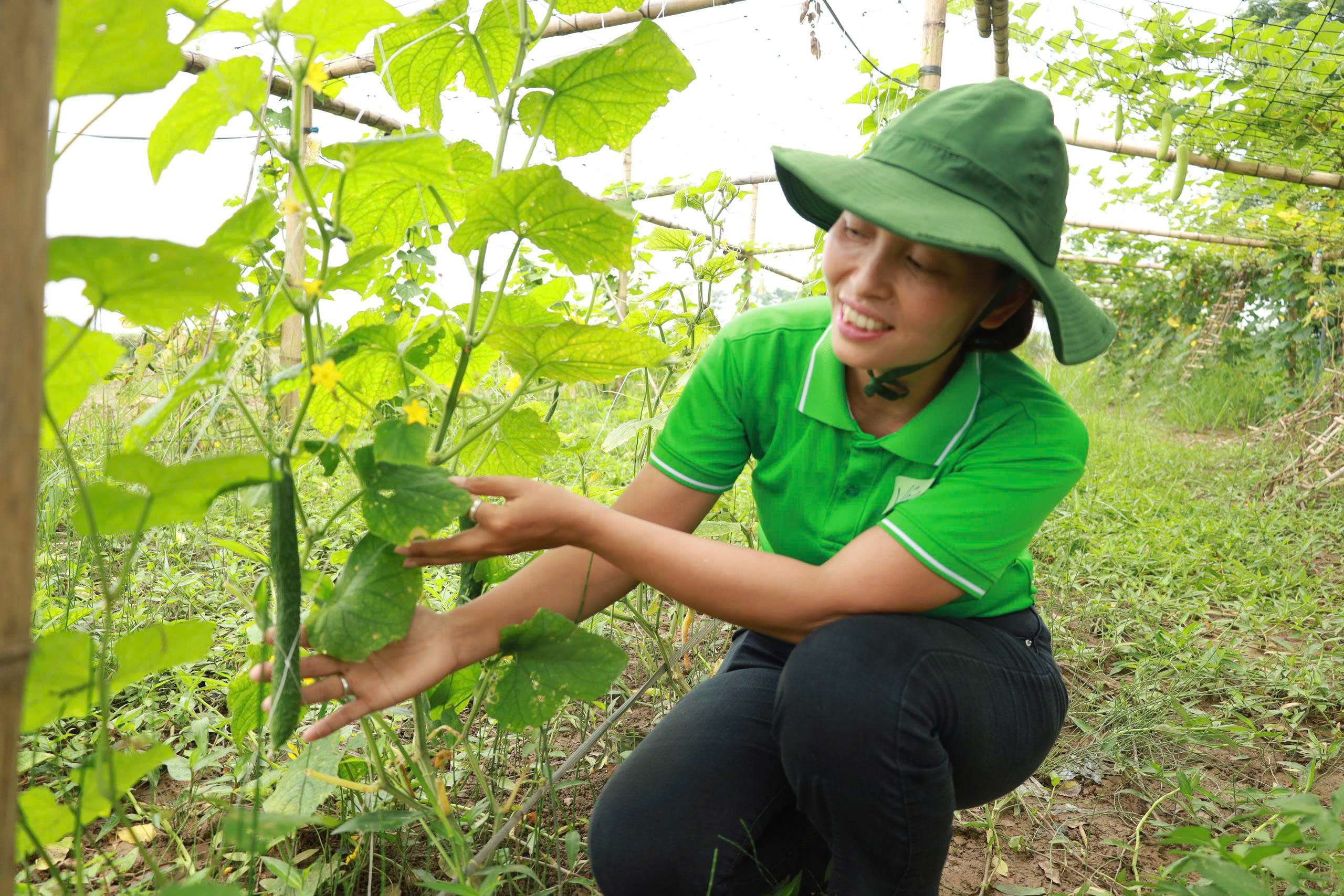 Biến xã đảo Minh Châu thành “điểm xanh” nhờ một người phụ nữ dám nghĩ, dám làm image